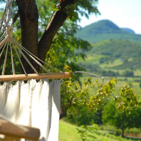 Sarga Haz Kaptalantoti