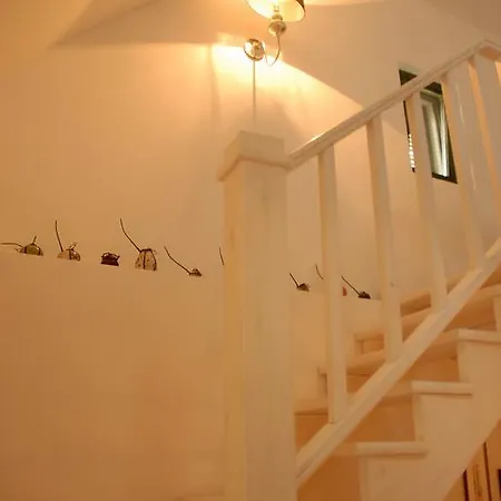 Kır Evi Sarga Haz Kaptalantoti