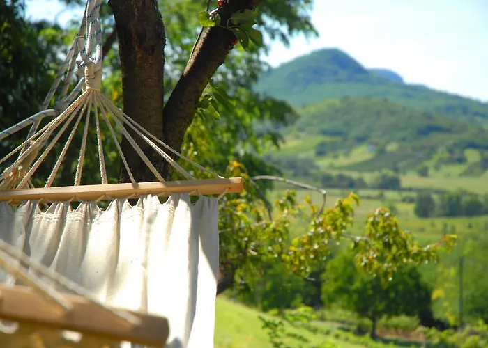 Sarga Haz Kaptalantoti