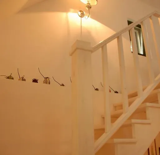 Kır Evi Sarga Haz Kaptalantoti