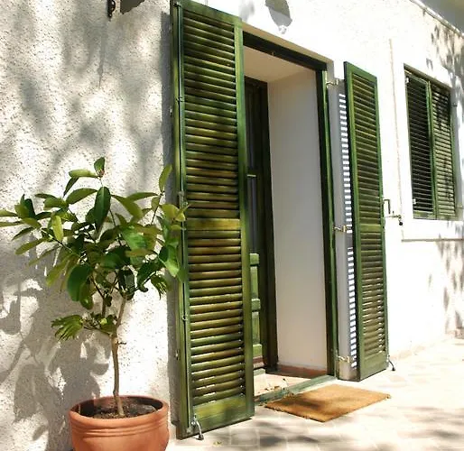 Kır Evi Sarga Haz Kaptalantoti