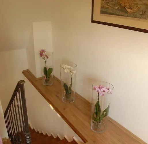 Kır Evi Sarga Haz *