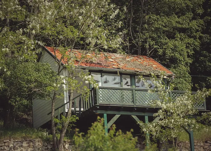 Sarga Haz Kır Evi Kaptalantoti